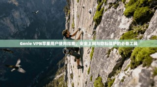 Genie VPN苹果用户使用指南，安全上网与隐私保护的必备工具