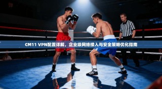 CM11 VPN配置详解，企业级网络接入与安全策略优化指南