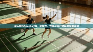 深入解析SpeehVPN，安全性、性能与用户隐私的全面评测