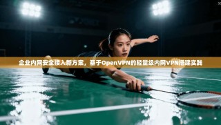 企业内网安全接入新方案，基于OpenVPN的轻量级内网VPN搭建实践