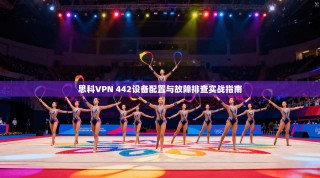 思科VPN 442设备配置与故障排查实战指南