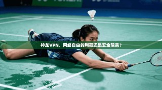 神龙VPN，网络自由的利器还是安全隐患？