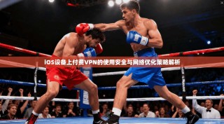iOS设备上付费VPN的使用安全与网络优化策略解析
