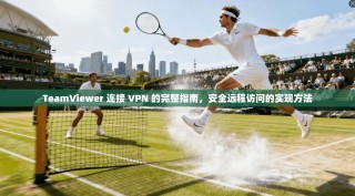 TeamViewer 连接 VPN 的完整指南，安全远程访问的实现方法