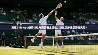 海豚VPN App使用体验与网络安全建议，隐私保护还是潜在风险？