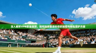 深入解析VPN安全选项，如何选择最适合你的加密与隐私保护方案