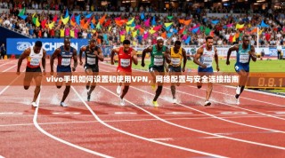 vivo手机如何设置和使用VPN，网络配置与安全连接指南