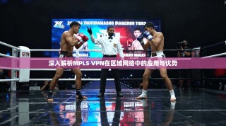 深入解析MPLS VPN在区域网络中的应用与优势