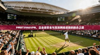 PMBT3946VPN，企业级安全与高效网络连接的融合之道