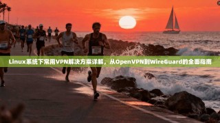 Linux系统下常用VPN解决方案详解，从OpenVPN到WireGuard的全面指南