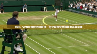SSH、VPN与域控协同管理，企业网络安全部署的高效实践