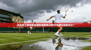企业员工如何安全高效地使用公司VPN进行远程办公？