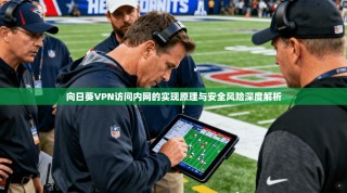 向日葵VPN访问内网的实现原理与安全风险深度解析