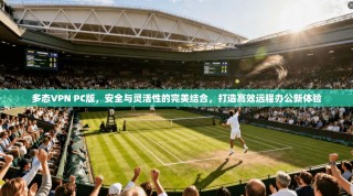 多态VPN PC版，安全与灵活性的完美结合，打造高效远程办公新体验