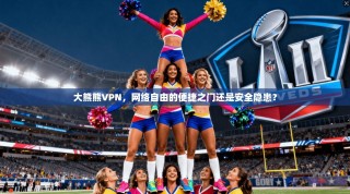 大熊熊VPN，网络自由的便捷之门还是安全隐患？
