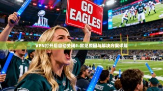 VPN打开后自动关闭？常见原因与解决方案详解