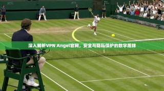 深入解析VPN Angel官网，安全与隐私保护的数字盾牌