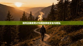 如何正确使用VPN保障网络安全与隐私