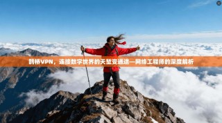 鹊桥VPN，连接数字世界的天堑变通途—网络工程师的深度解析
