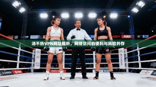 汤不热VPN网址解析，网络访问的便利与风险并存