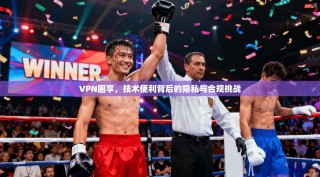 VPN圈享，技术便利背后的隐私与合规挑战