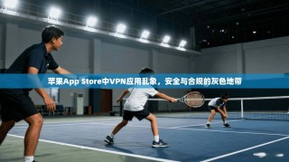 苹果App Store中VPN应用乱象，安全与合规的灰色地带