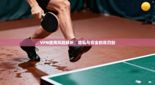 VPN使用风险解析，隐私与安全的双刃剑