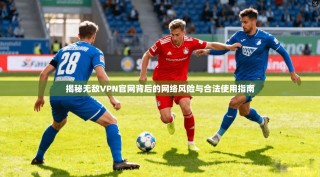 揭秘无敌VPN官网背后的网络风险与合法使用指南