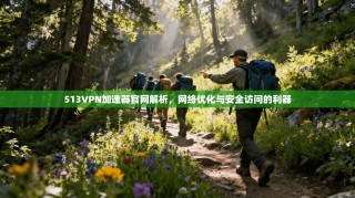 513VPN加速器官网解析，网络优化与安全访问的利器