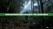如何安全高效地配置与管理VPN地址及账号—网络工程师的实操指南