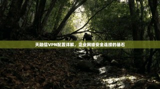 天融信VPN配置详解，企业网络安全连接的基石