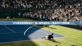 VPN是否使用固定IP？深入解析虚拟私人网络的IP分配机制