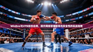 WinBox与VPN结合应用，提升网络管理效率与安全性的实战指南