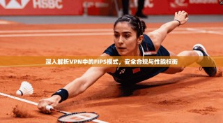 深入解析VPN中的FIPS模式，安全合规与性能权衡