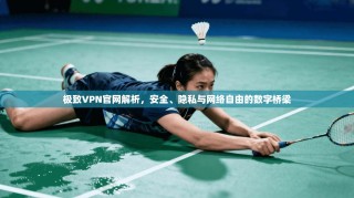 极致VPN官网解析，安全、隐私与网络自由的数字桥梁