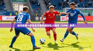 如何选择一款安全可靠的虚拟私人网络（VPN）服务？
