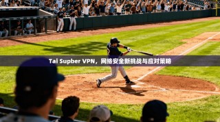 Tai Supber VPN，网络安全新挑战与应对策略