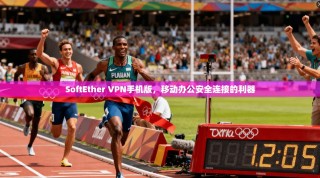 SoftEther VPN手机版，移动办公安全连接的利器