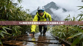 Tor网络为何无需传统VPN即可实现匿名上网？