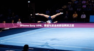 iPhone Easy VPN，便捷与安全的移动网络之道