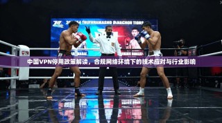 中国VPN停用政策解读，合规网络环境下的技术应对与行业影响