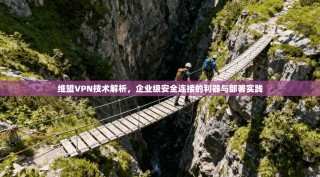 维盟VPN技术解析，企业级安全连接的利器与部署实践