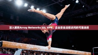 深入解析Array Networks SSL VPN，企业安全远程访问的可靠选择