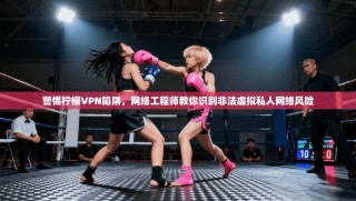 警惕柠檬VPN陷阱，网络工程师教你识别非法虚拟私人网络风险