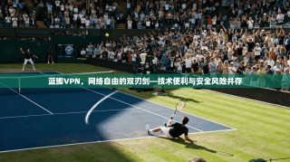 蓝鲫VPN，网络自由的双刃剑—技术便利与安全风险并存