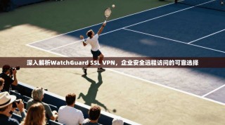 深入解析WatchGuard SSL VPN，企业安全远程访问的可靠选择