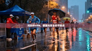 纯软件VPN，便捷与安全的平衡点