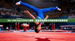 SSL VPN AnyConnect 解析，企业安全远程访问的利器与部署实践