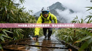 iOS设备上灯泡VPN现象解析，安全与隐私的双刃剑