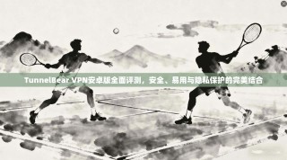 TunnelBear VPN安卓版全面评测，安全、易用与隐私保护的完美结合